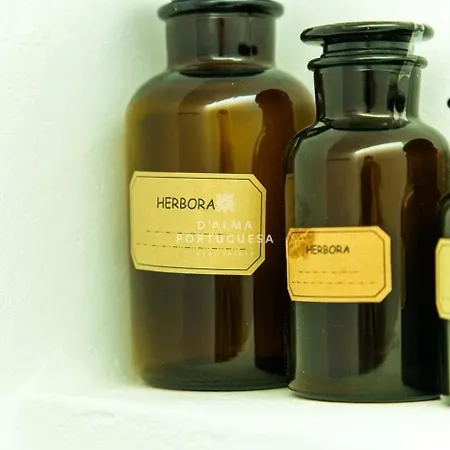 Apartmán Terracota By Dalma Portuguesa *