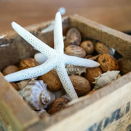 Apartment Terracota By Dalma Portuguesa